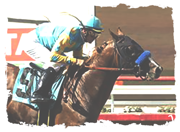 Horse Racing